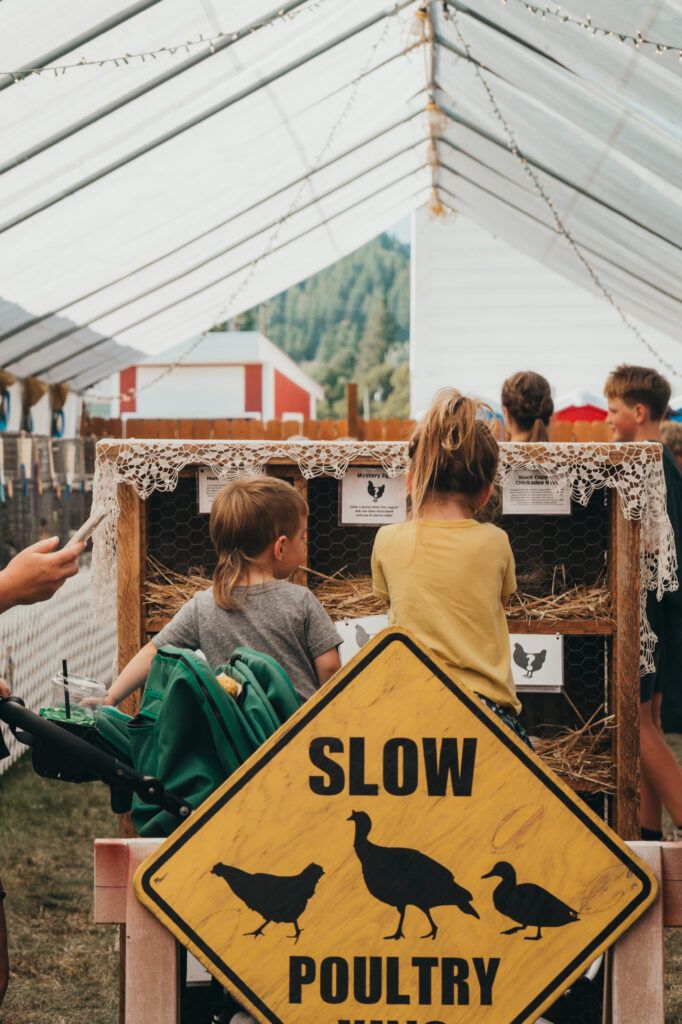 Children look at chickens inside a pen at an outdoor event in Boundary County ID. A yellow “Slow Poultry” public info warning sign is in the foreground, and the area is covered by a transparent tent with lights overhead. | Boundary County ID