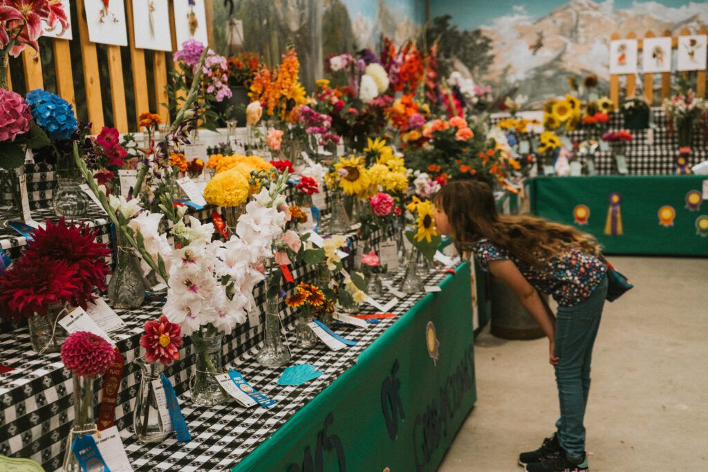 A young girl leans in to look at colorful flowers displayed in glass vases on tables covered with checkered cloths at a Boundary County ID flower show. Award ribbons and tags provide public info about several impressive arrangements. | Boundary County ID