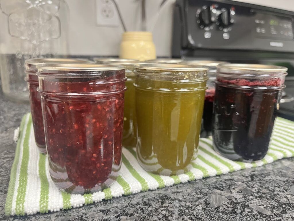 Several jars of homemade jam in red, yellow-green, and dark purple sit on a green and white striped towel on a kitchen counter in Boundary County ID. A stove and other kitchen items are visible in the background, showcasing local public service. | Boundary County ID