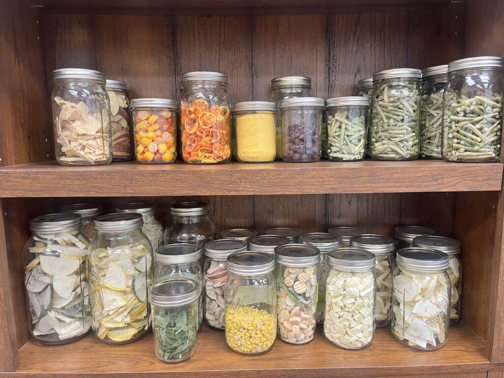 Jars filled with various dried fruits, vegetables, and herbs are arranged on two wooden shelves in a Boundary County ID public service display, showcasing items like green beans, corn, citrus slices, leafy greens, and other dehydrated produce. | Boundary County ID