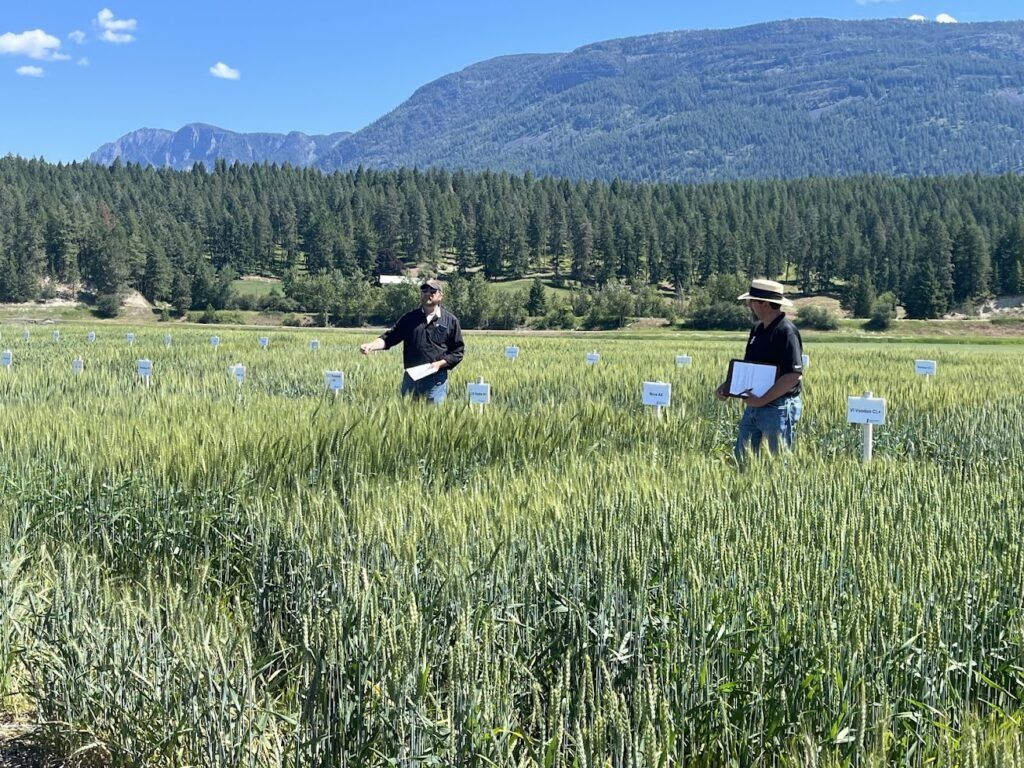 Two people stand in a field of tall crops with labeled signs, holding clipboards for a public info survey. Pine trees and Boundary County ID mountains rise in the background beneath a clear blue sky. | Boundary County ID